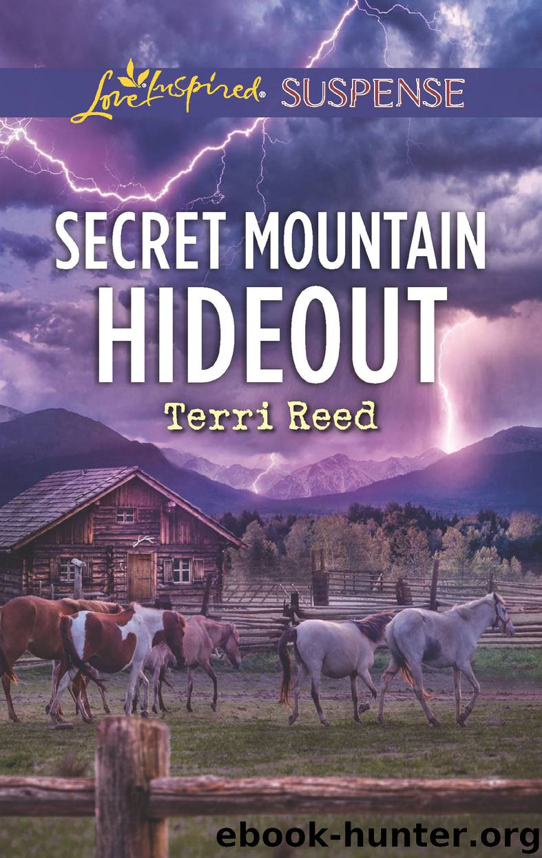 Secret Mountain Hideout by Terri Reed