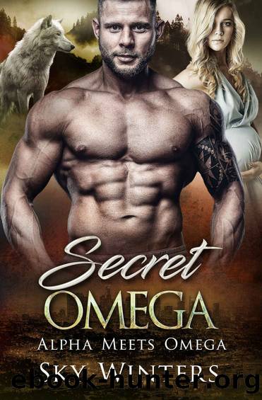 Secret Omega (Alpha Meets Omega Book 2) by Sky Winters