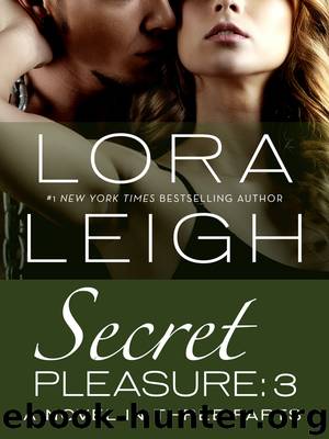 Secret Pleasure: Part 3 by Lora Leigh