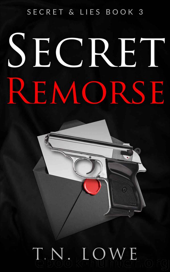 Secret Remorse by T N Lowe
