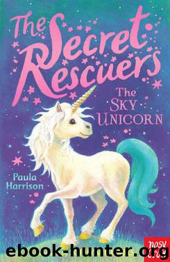 Secret Rescuers by Paula Harrison