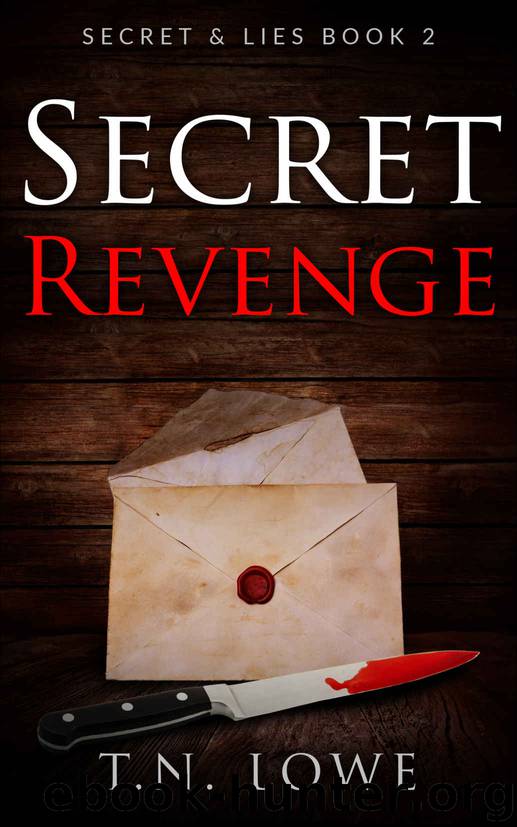 Secret Revenge by T N Lowe