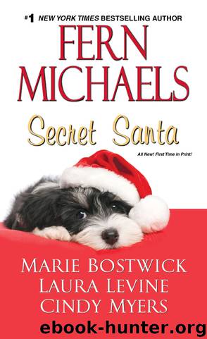 Secret Santa by Fern Michaels