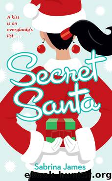 Secret Santa by Sabrina James