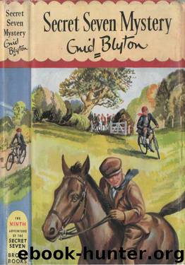 Secret Seven Mystery by Enid Blyton