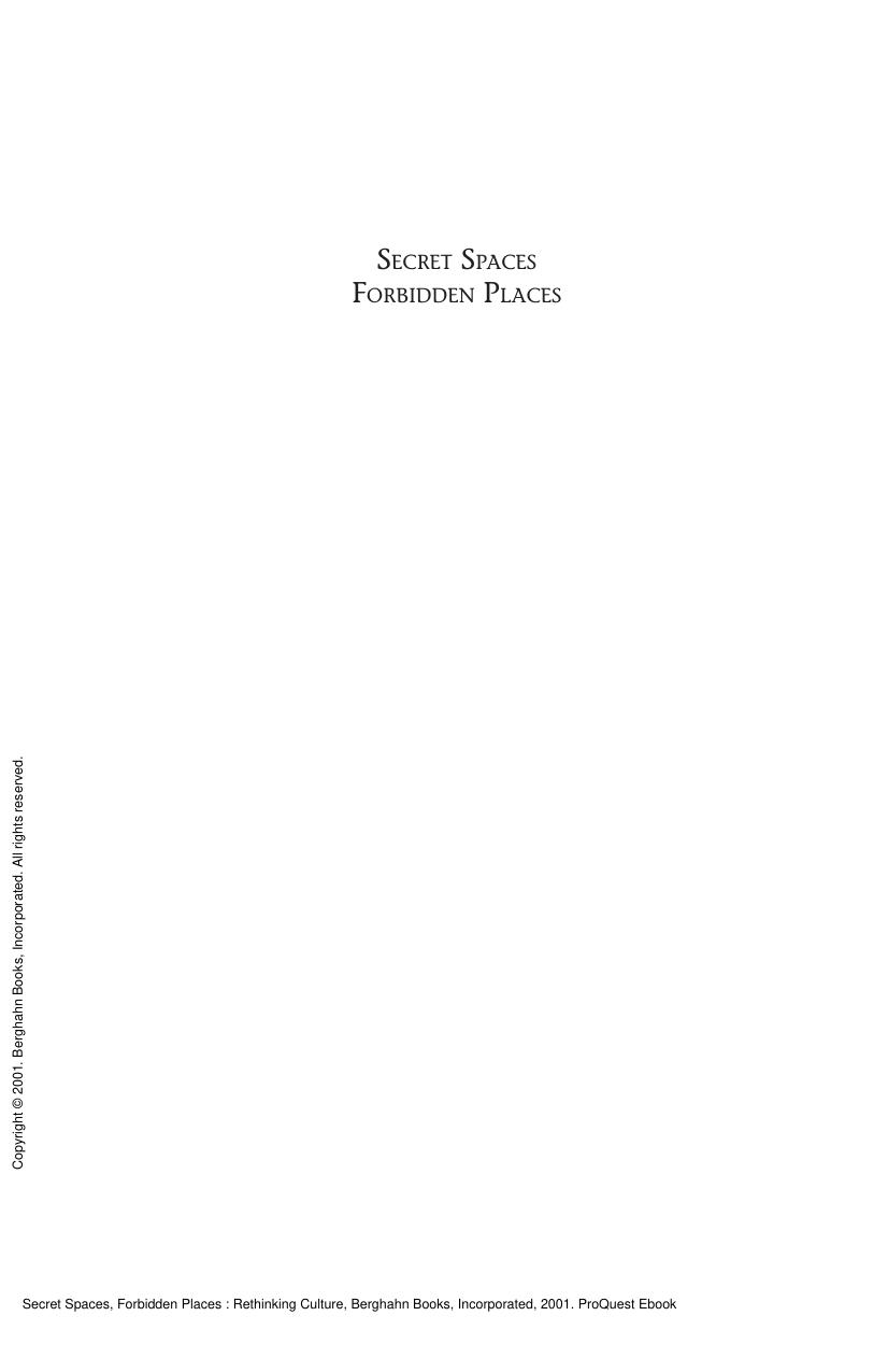 Secret Spaces, Forbidden Places : Rethinking Culture by Fran Lloyd; Catherine O'Brien