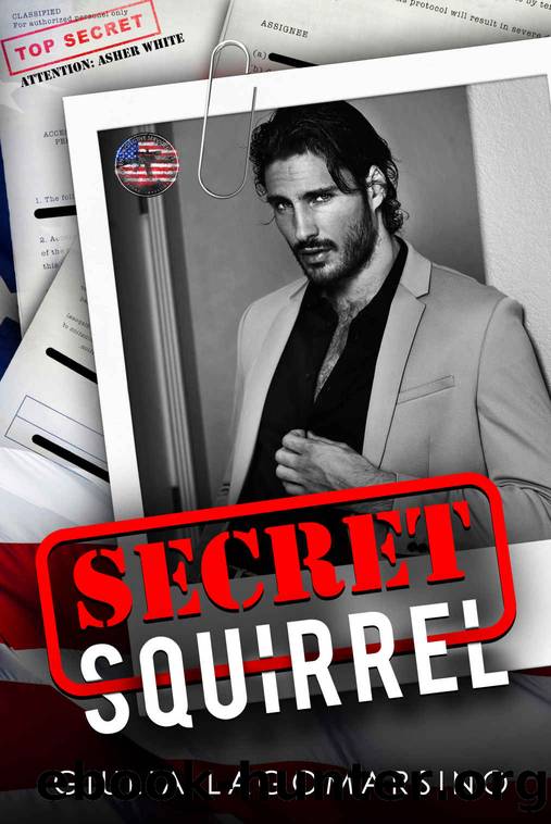 Secret Squirrel: An OPS Protector Romance (Owens Protective Services Book 11) by Giulia Lagomarsino