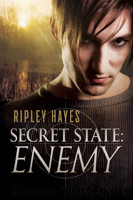 Secret State: Enemy: MM Suspense by Hayes Ripley