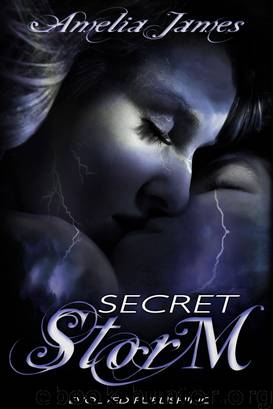 Secret Storm by Amelia James
