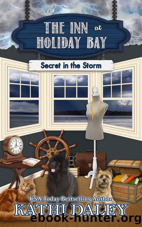 Secret in the Storm by Kathi Daley