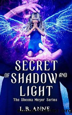 Secret of Shadow and Light by L.B. Anne