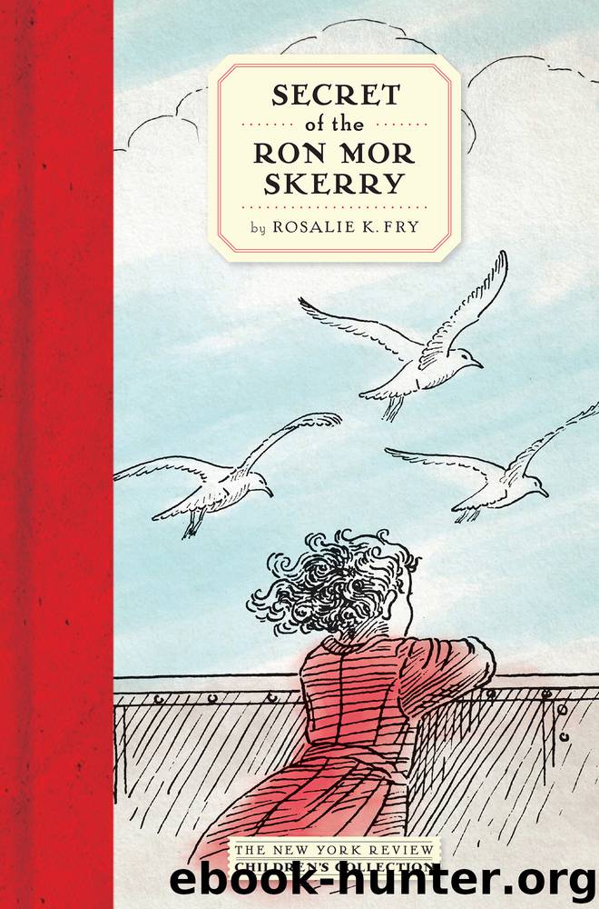 Secret of the Ron Mor Skerry by Rosalie K. Fry