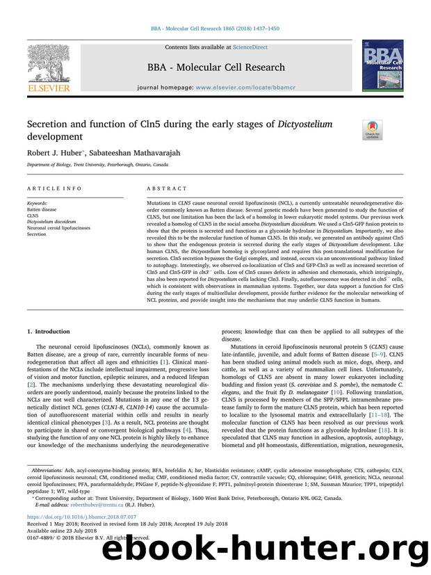 Secretion and function of Cln5 during the early stages of Dictyostelium development by Robert J. Huber & Sabateeshan Mathavarajah