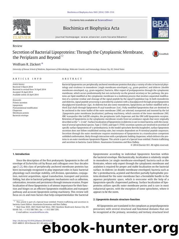 Secretion of Bacterial Lipoproteins: Through the Cytoplasmic Membrane, the Periplasm and Beyond by Wolfram R. Zückert