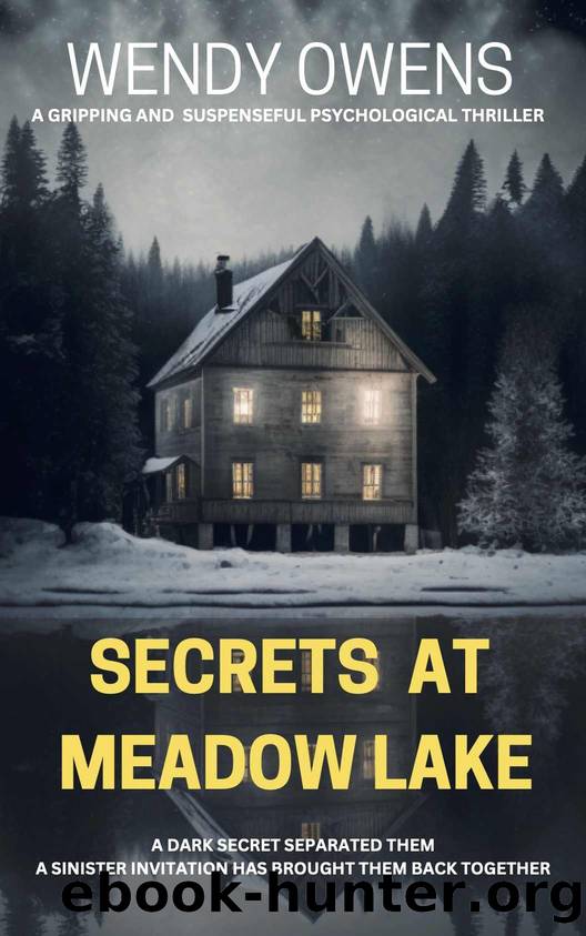 Secrets At Meadow Lake: A gripping and suspenseful psychological thriller (A Secrets Thriller Book 1) by Wendy Owens