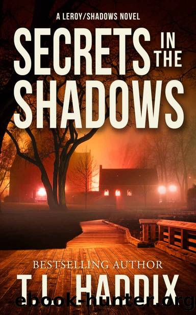 Secrets In The Shadows (Shadows Collection Book 1) by T. L. Haddix