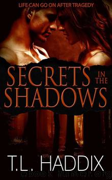 Secrets In The Shadows (Shadows Collection) by T. L. Haddix