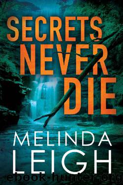Secrets Never Die (Morgan Dane Book 5) by Melinda Leigh