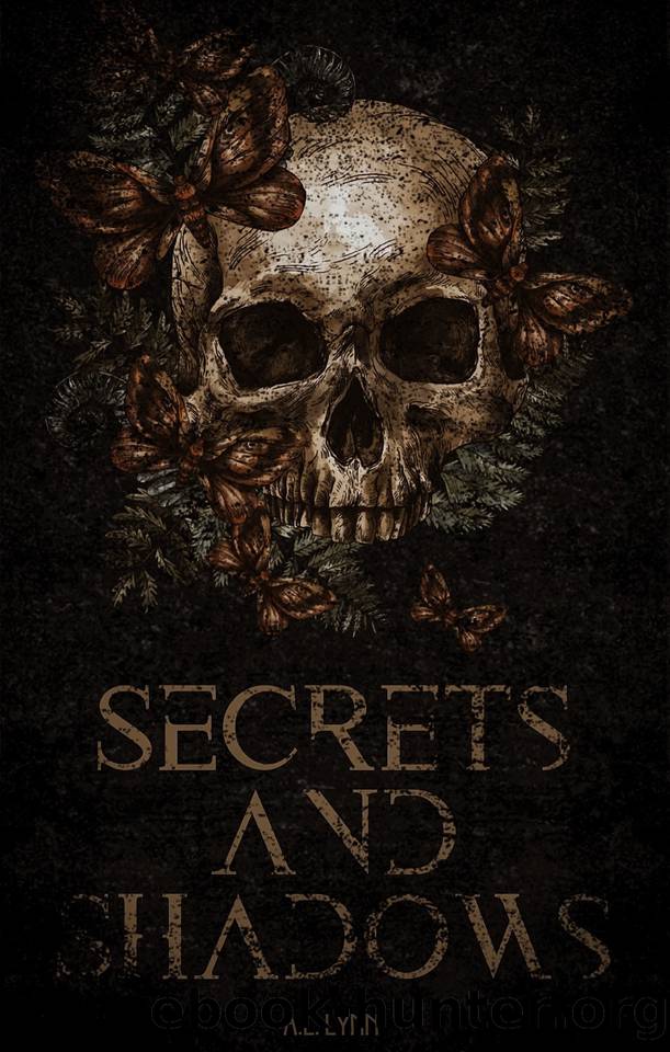 Secrets and Shadows by A.L. Lynn