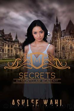 Secrets at Montclair Academy by Ashlee Wahl