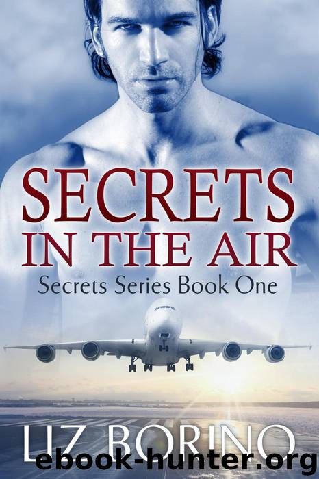 Secrets in the Air by Liz Borino