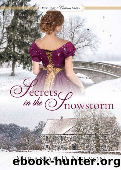 Secrets in the Snowstorm by Nelson Miranda D
