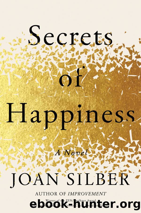 Secrets of Happiness by Joan Silber