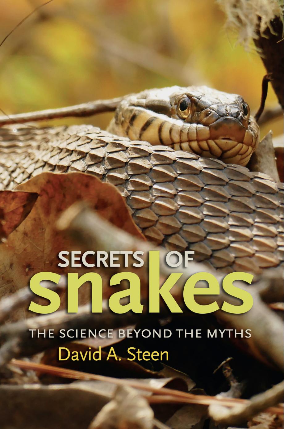 Secrets of Snakes by David A. Steen