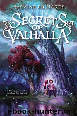 Secrets of Valhalla by Jasmine Richards