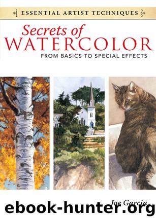 Secrets of Watercolor by Joe Garcia