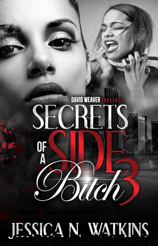 Secrets of a Side Bitch 3 by Jessica N Watkins