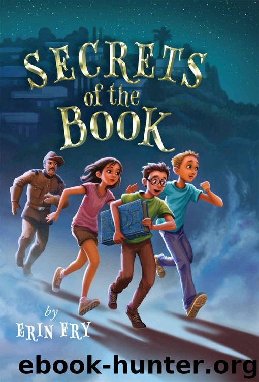 Secrets of the Book by Fry Erin