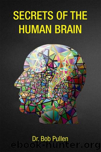 Secrets of the Human Brain by Robert Pullen by Robert Pullen