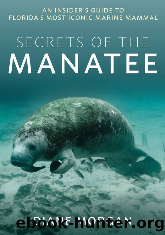 Secrets of the Manatee by Diane Morgan