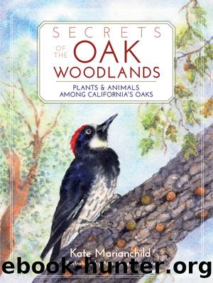 Secrets of the Oak Woodlands by Kate Marianchild