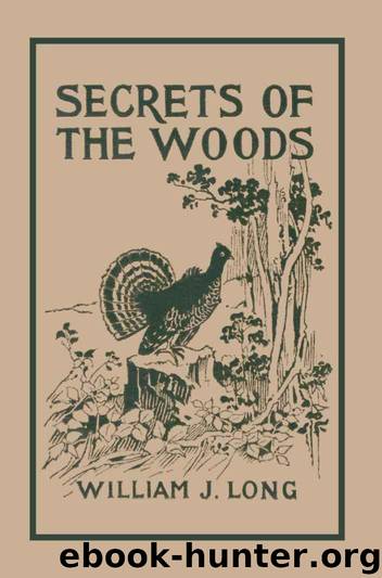 Secrets of the Woods (Yesterday's Classics) by William J Long