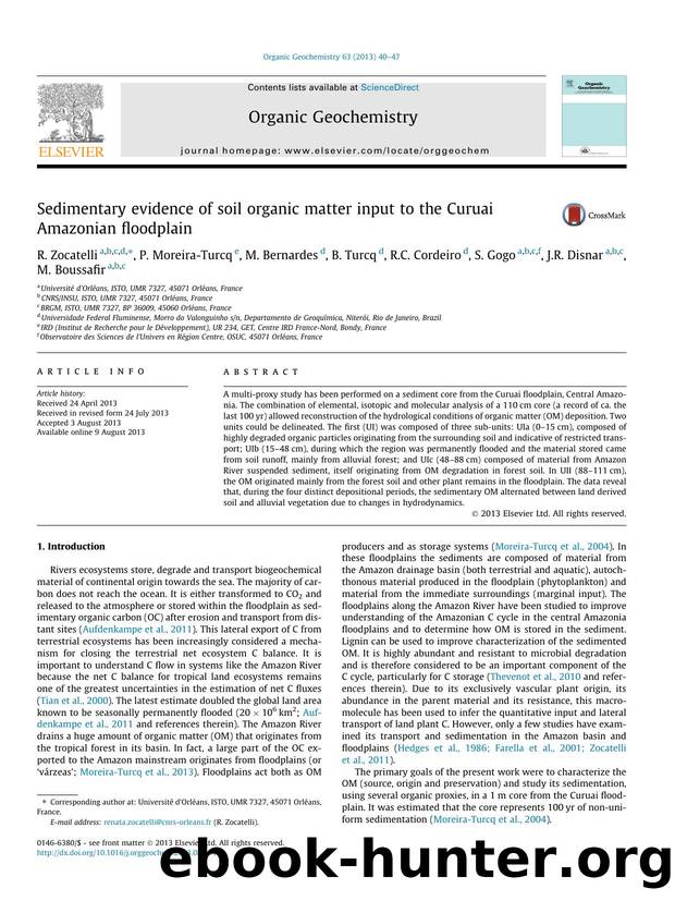 Sedimentary evidence of soil organic matter input to the Curuai Amazonian floodplain by unknow