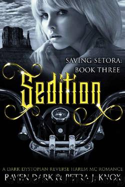Sedition: Saving Setora (Book Three) (Dark Dystopian Reverse Harem MC Romance) by Raven Dark & Petra J. Knox