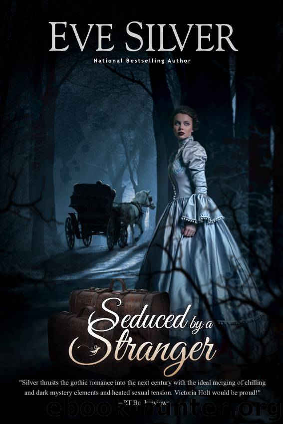 Seduced by a Stranger by Eve Silver