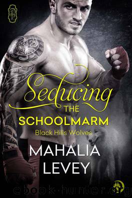 Seducing the Schoolmarm by Mahalia Levey