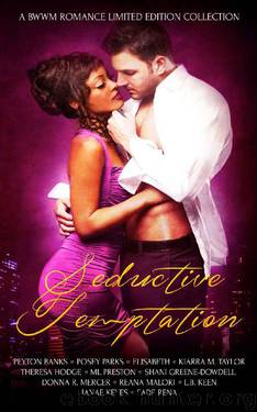 Seductive Temptation: A BWWM Romance Limited Edition Collection by unknow