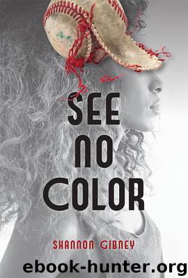 See No Color by Shannon Gibney