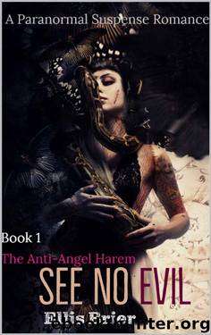 See No Evil (Anti-Angel Harem Book 1) by Ellis Brier