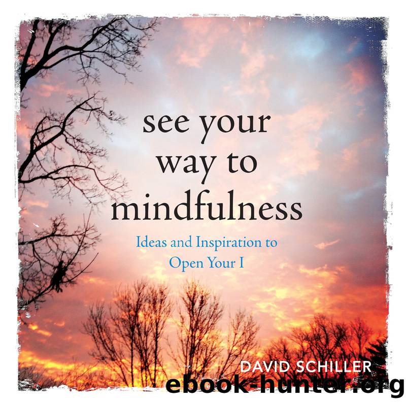 See Your Way to Mindfulness by David Schiller