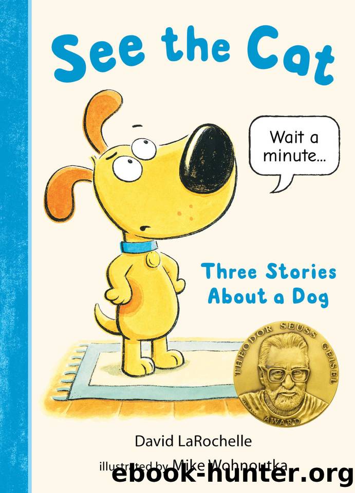 See the Cat: Three Stories About a Dog by David LaRochelle