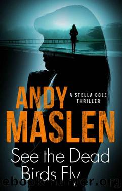 See the Dead Birds Fly: A terrifying Swedish serial-killer mystery (The DI Stella Cole Thrillers Book 7) by Andy Maslen