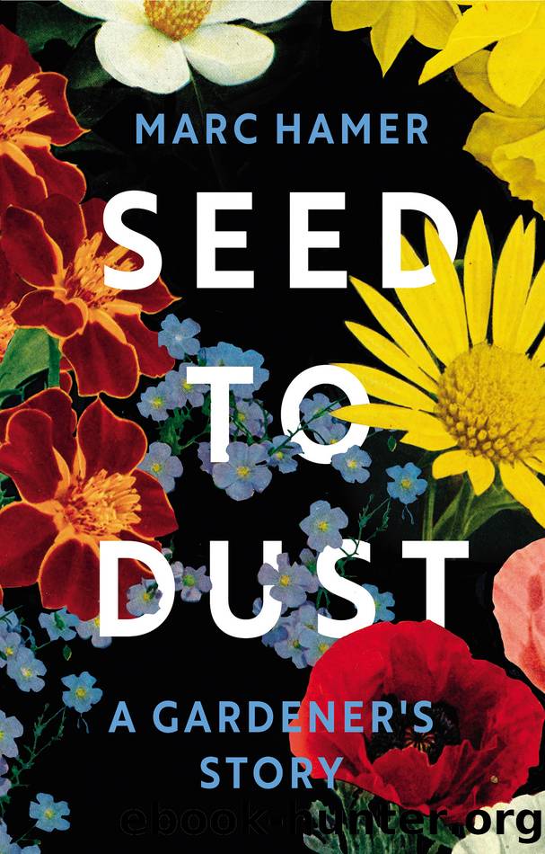 Seed to Dust by Marc Hamer