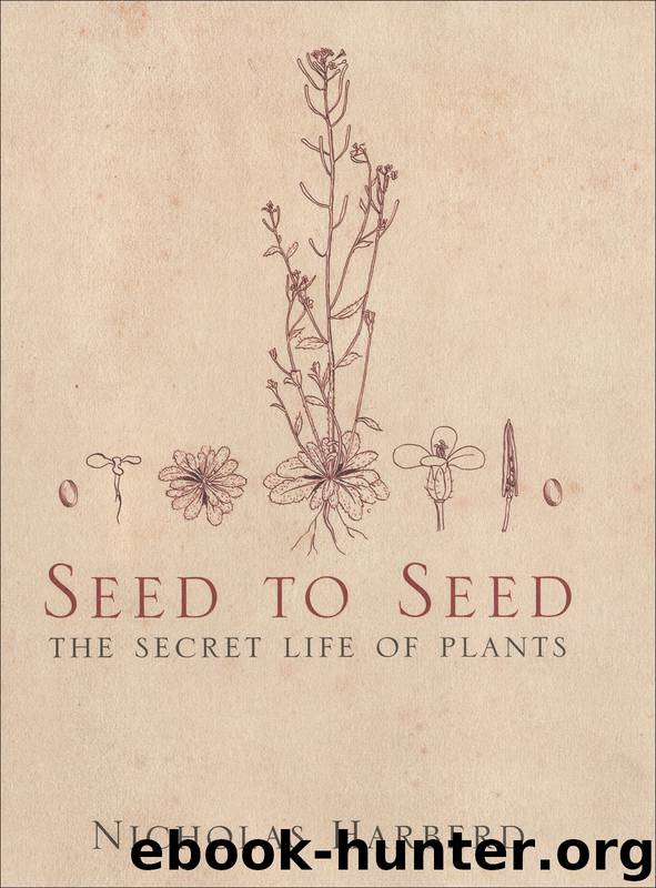 Seed to Seed by Nicholas Harberd