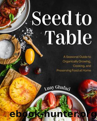 Seed to Table by Luay Ghafari