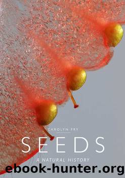 Seeds by Carolyn Fry